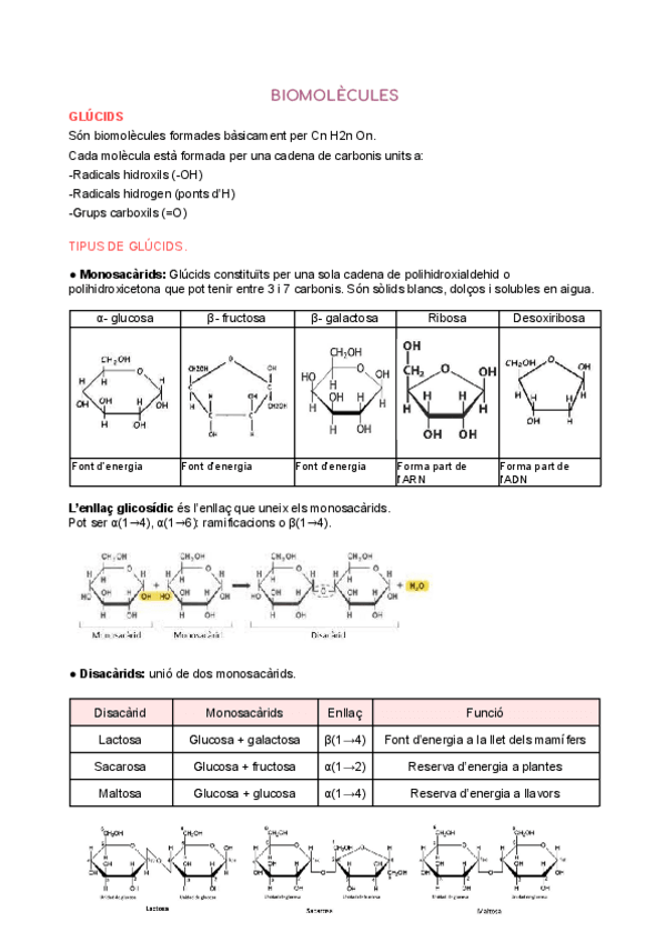 Miniatura del documento Biomolecules-i-biotecnologia.pdf