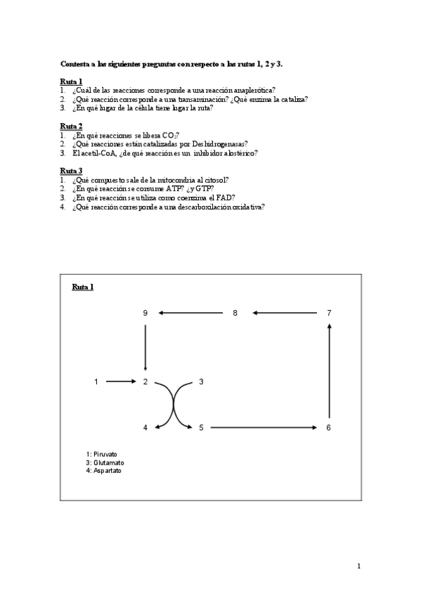 Miniatura del documento Ejercicios-de-metabolismo.pdf