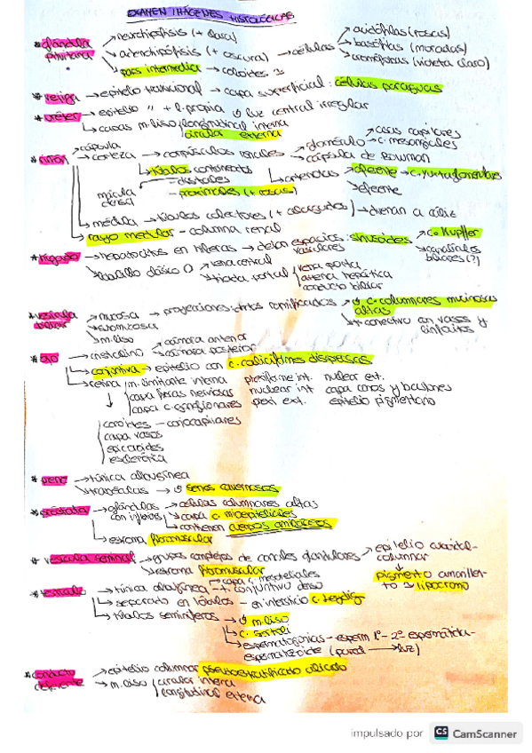Miniatura del documento Histologia.-Examen-practico-imagenes.pdf