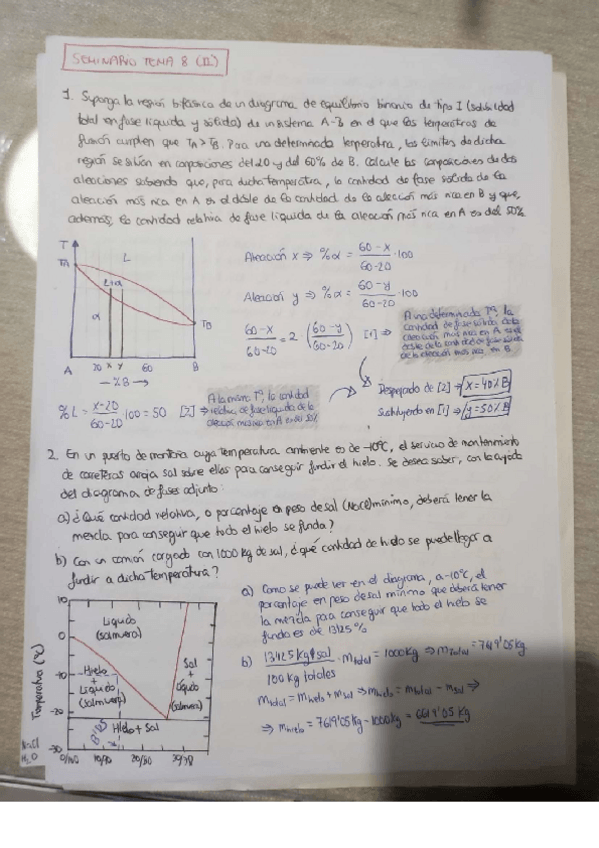 Miniatura del documento Seminario-Tema-8-II-parte.pdf