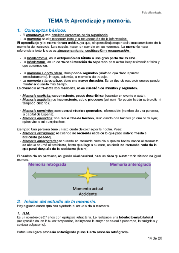 Miniatura del documento Tema-9-fisio.pdf