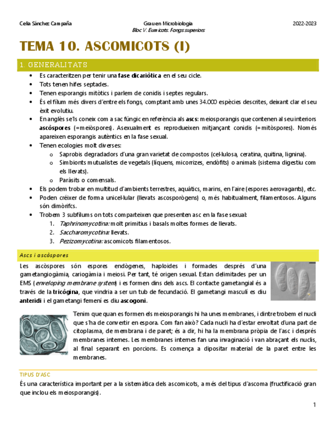 Miniatura del documento Tema-10.-Ascomicots.pdf