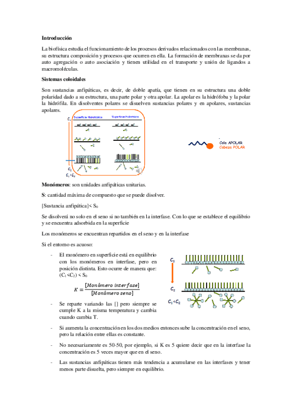 Miniatura del documento APUNTES-BIOFISICA.pdf