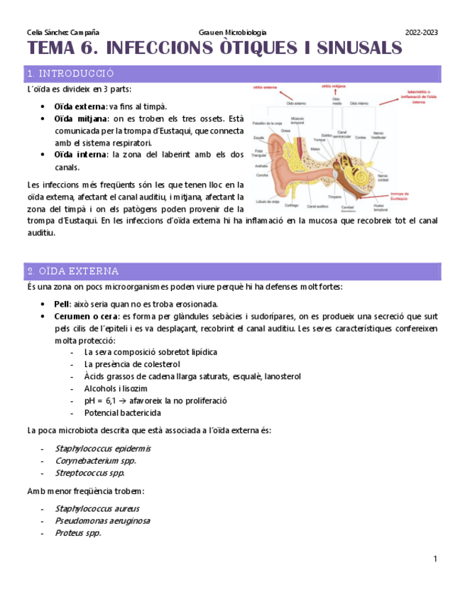 Miniatura del documento Tema-6.-Infeccions-otiques-i-sinusals.pdf