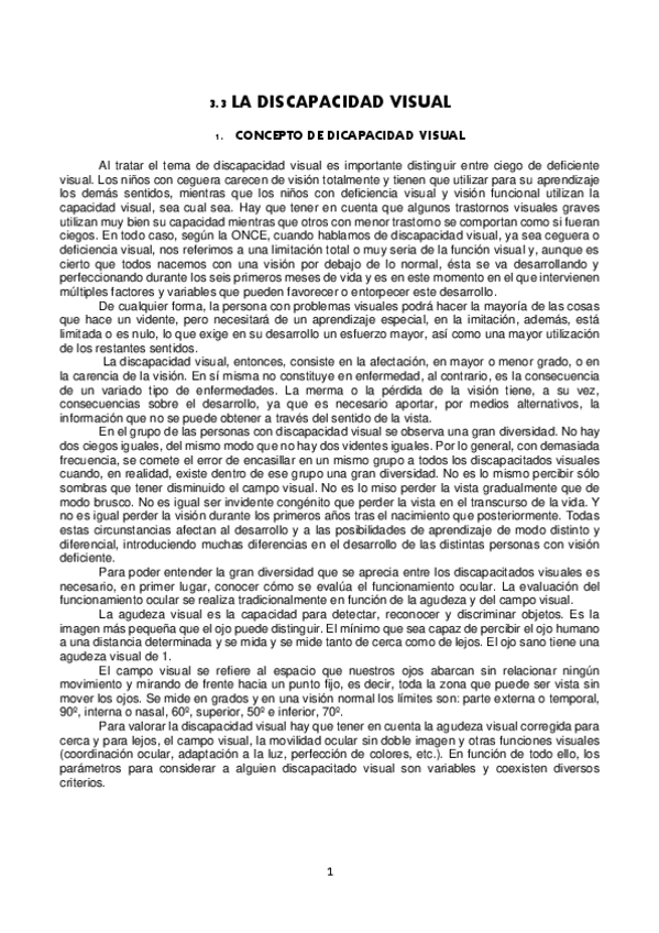 Miniatura del documento 3.3-Discapacidad-visual.pdf