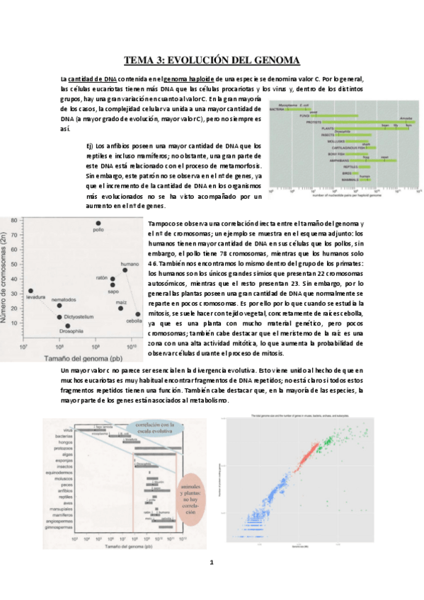 Miniatura del documento Tema-3-Evolucion-del-genoma.pdf