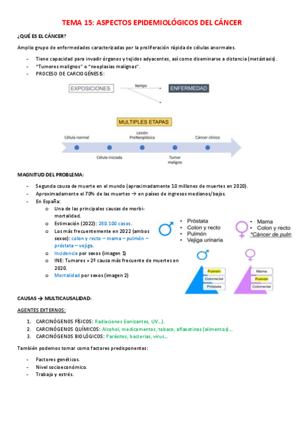 Miniatura del documento SALUD-PUBLICA-15-CANCER.pdf