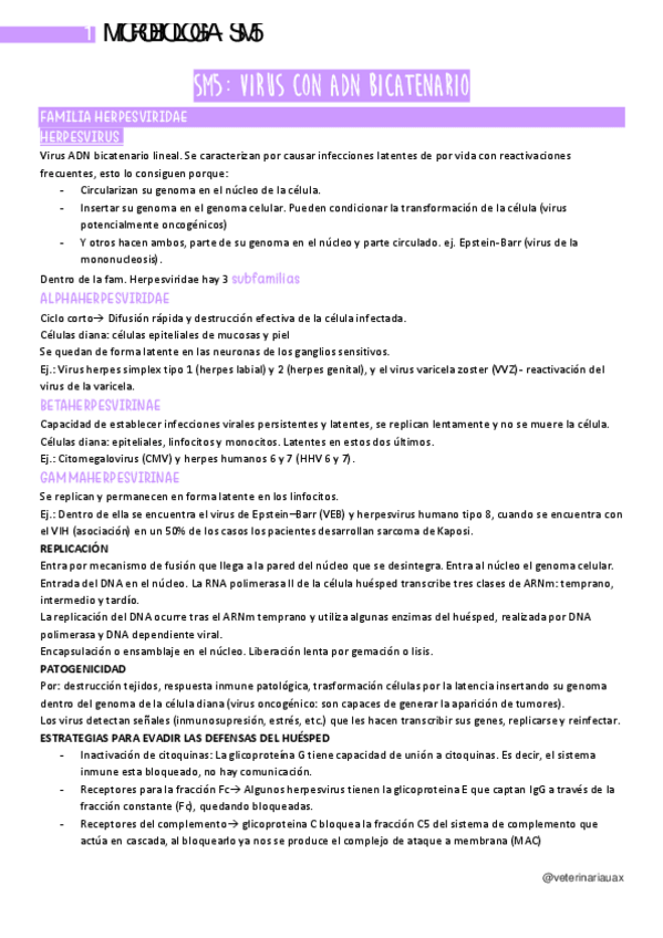 Miniatura del documento SM5.-Virus-con-ADN-bicaternario-II-pt.-1.pdf
