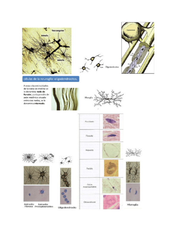 Miniatura del documento Imagenes.pdf