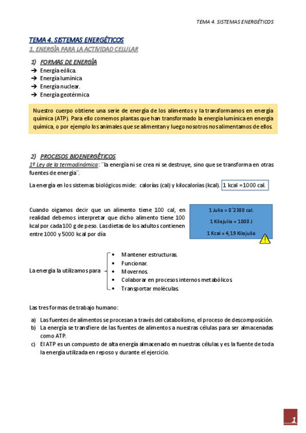 Miniatura del documento APUNTES-TEMA-4.pdf