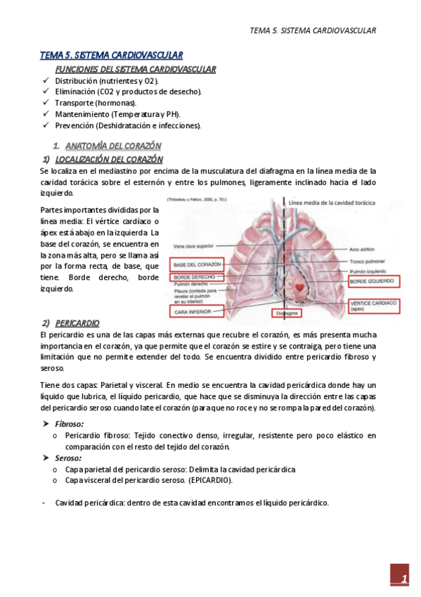 Miniatura del documento APUNTES-TEMA-5.pdf