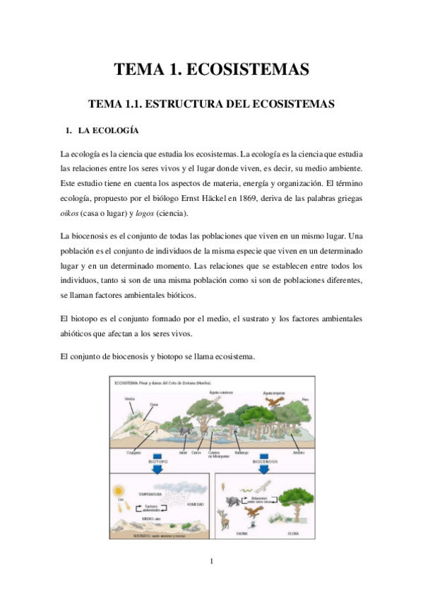 Miniatura del documento El-Medio-Natural-y-su-Didactica-I.pdf