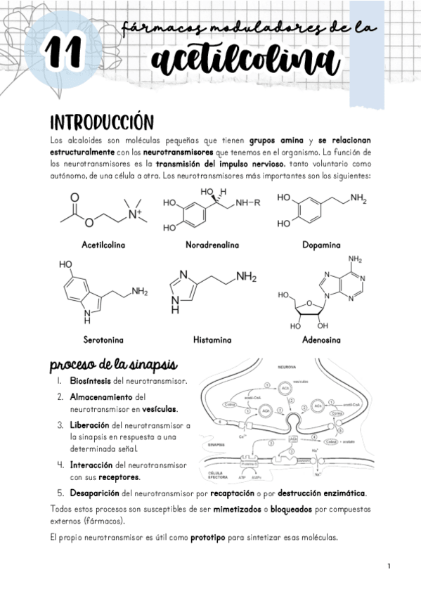 Miniatura del documento Tema-11.-Moduladores-de-la-acetilcolina.pdf