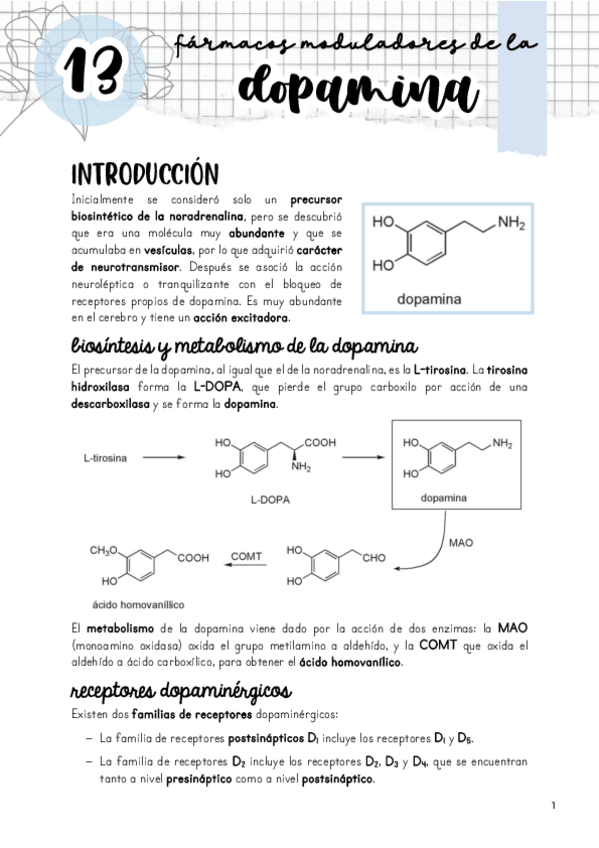 Miniatura del documento Tema-13.-Moduladores-de-la-dopamina.pdf