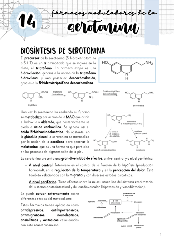 Miniatura del documento Tema-14.-Moduladores-de-la-serotonina.pdf