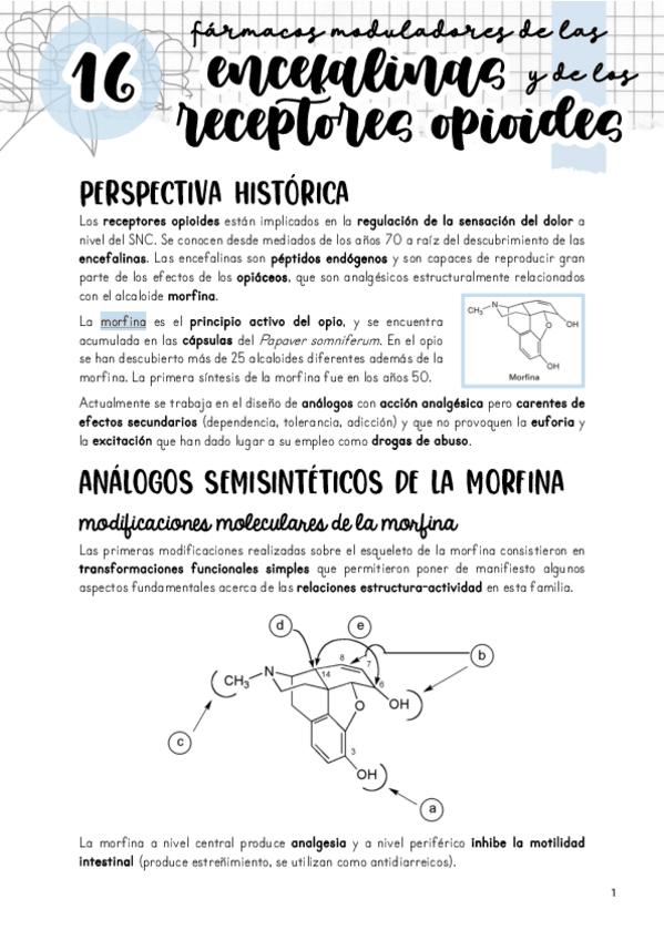 Miniatura del documento Tema-16.-Moduladores-de-las-encefalinas-y-de-los-receptores-opioides.pdf