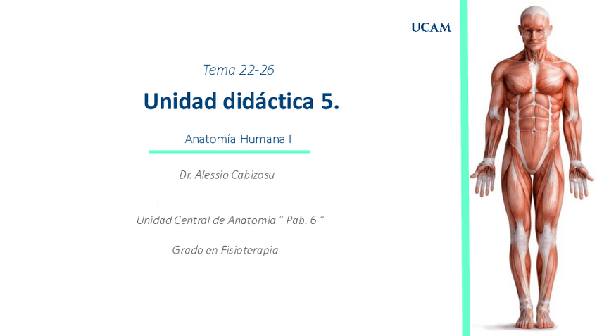 Miniatura del documento Tema22-26.Miologiadelmiemebroinferior.Pierna.pdf