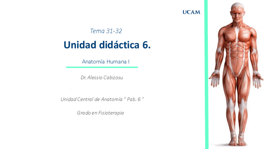 Miniatura del documento Temas31-32OsteologiayartrologiadelMMSS.Mano.pdf