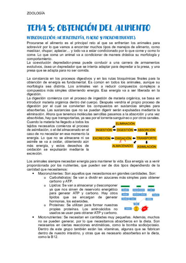 Miniatura del documento TEMA-5-ZOOLOGIA.pdf