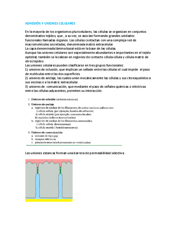 Miniatura del documento ADHESIÓN Y UNIONES CELULARES.pdf
