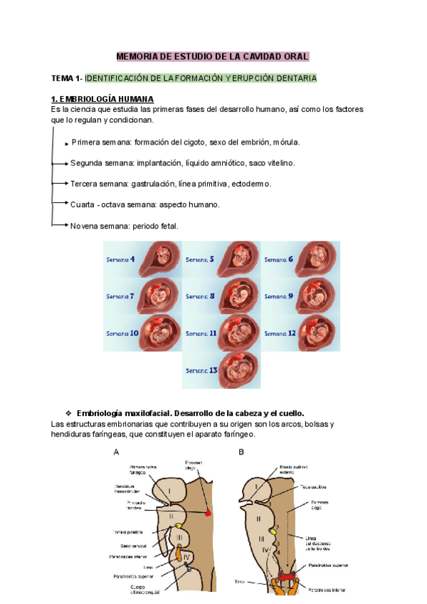 Miniatura del documento ESCO-Recopilacion-T.1-al-T.8.pdf