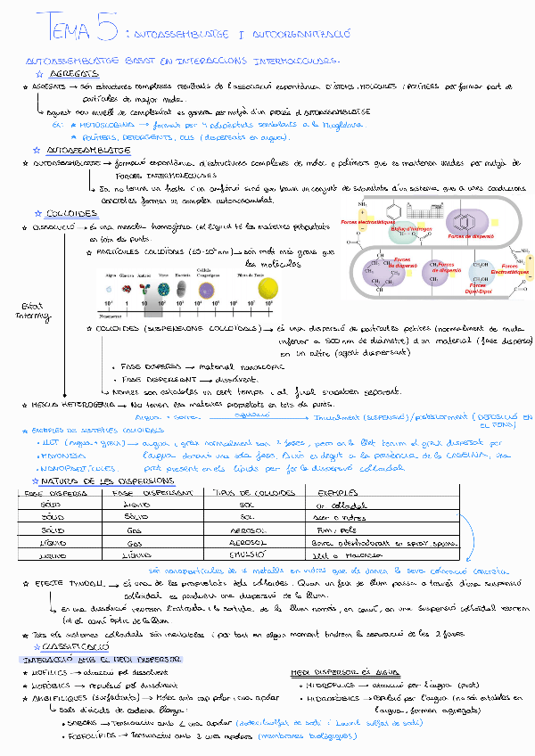 Miniatura del documento Tema-5-QS.pdf