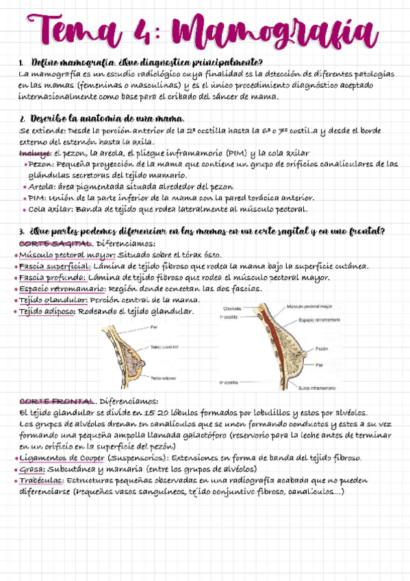 Miniatura del documento Actividades-mamografia.pdf