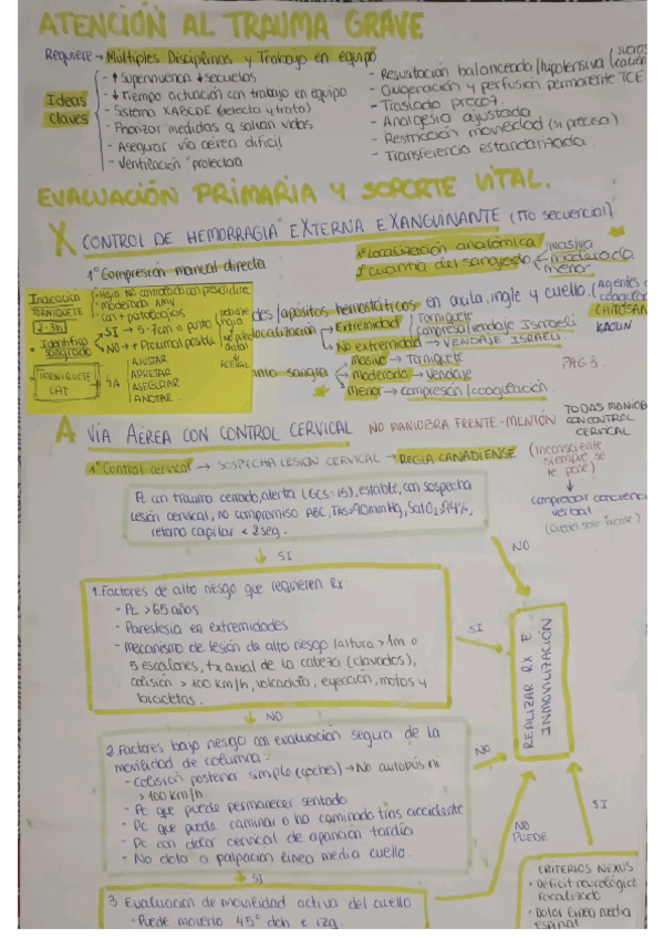 Miniatura del documento AMVYAH.pdf.pdf