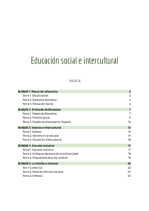 Miniatura del documento Educacion-social-e-intercultural-Teodora.pdf