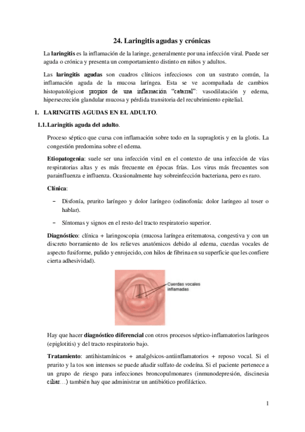 Miniatura del documento 24.-Laringitis-agudas-y-cronicas.pdf