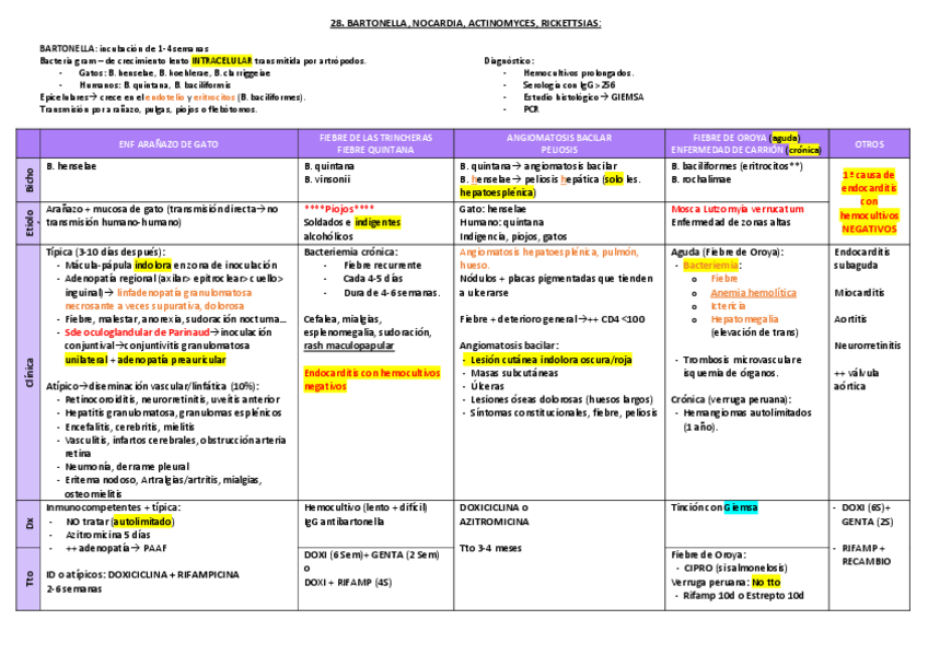 Miniatura del documento 8.-BARTONELLA-NOCARDIA-ACTINOMYCES-RICKETTSIAS.pdf