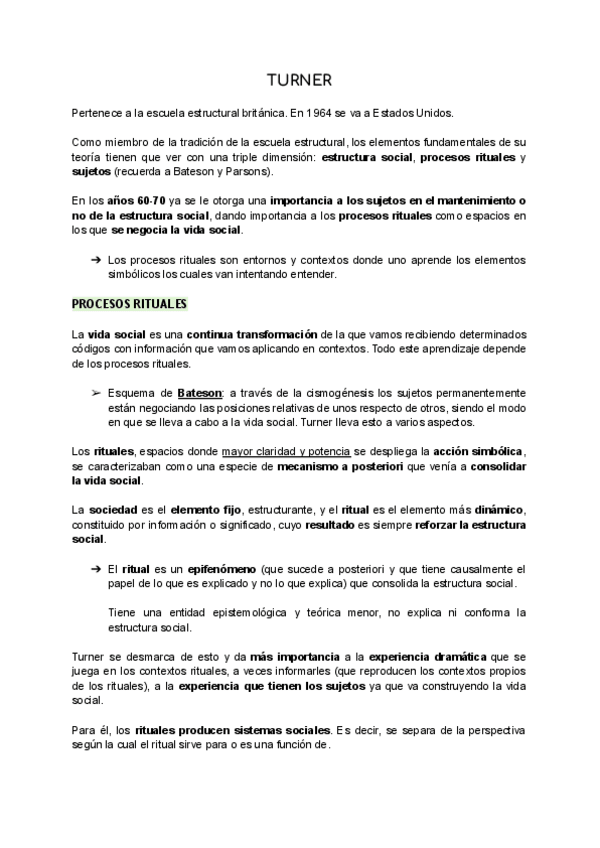 Miniatura del documento TURNER.pdf