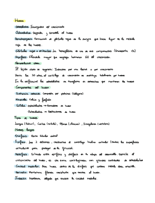 Miniatura del documento Anatomia-tema-3-todos-los-huesos.pdf