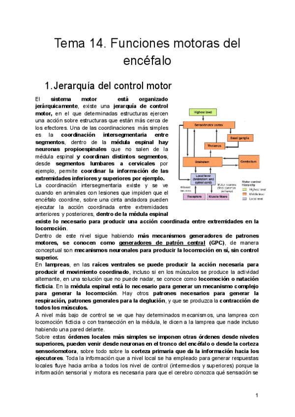 Miniatura del documento Tema-14.-Funciones-motoras-del-encefalo.pdf