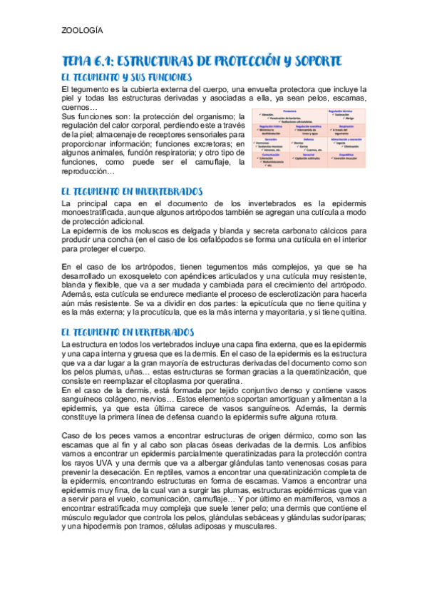 Miniatura del documento TEMA-6.1-ZOOLOGIA.pdf