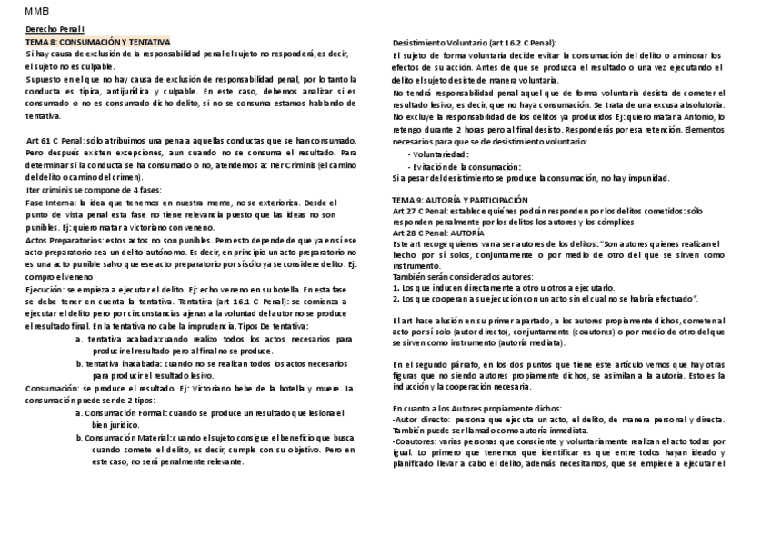 Miniatura del documento PENAL I tema 8-11.pdf