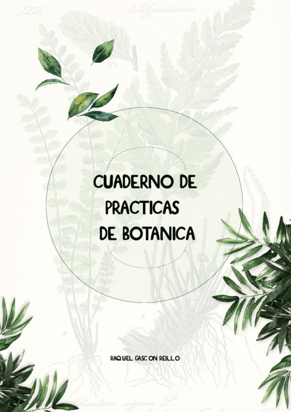 Miniatura del documento P1Cianobacterias.pdf