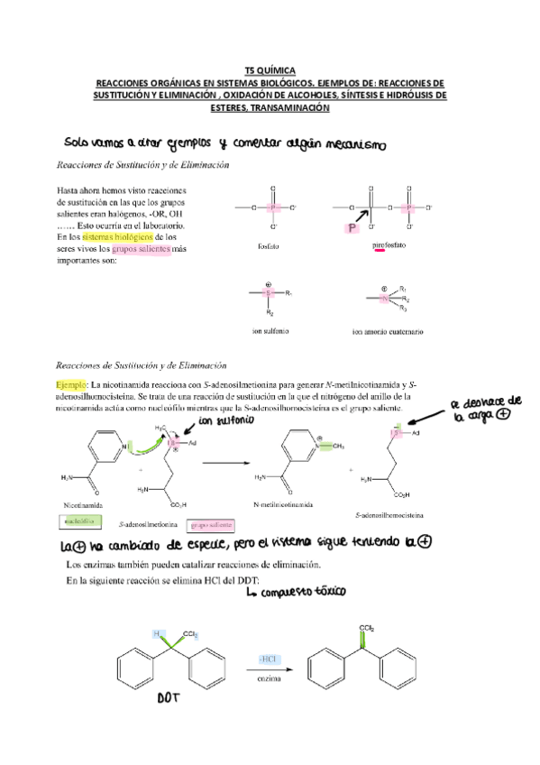 Miniatura del documento T5-QUIMICA.pdf
