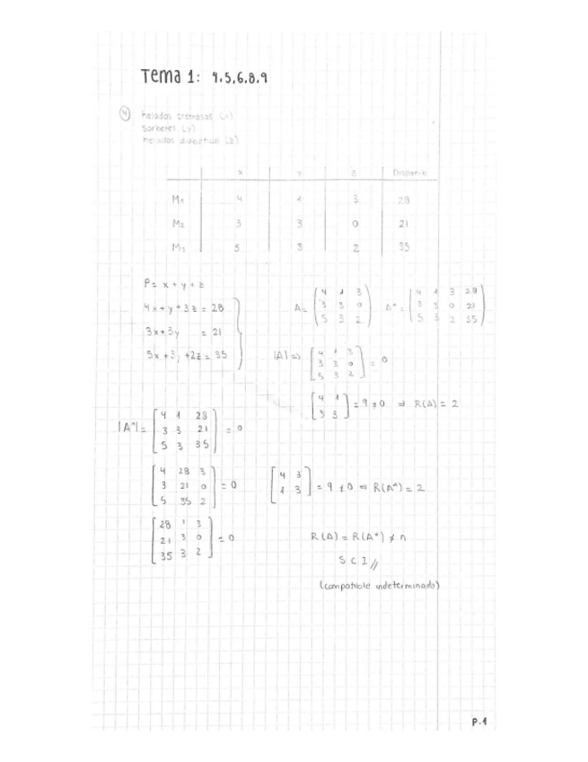 Miniatura del documento Tema-1.pdf