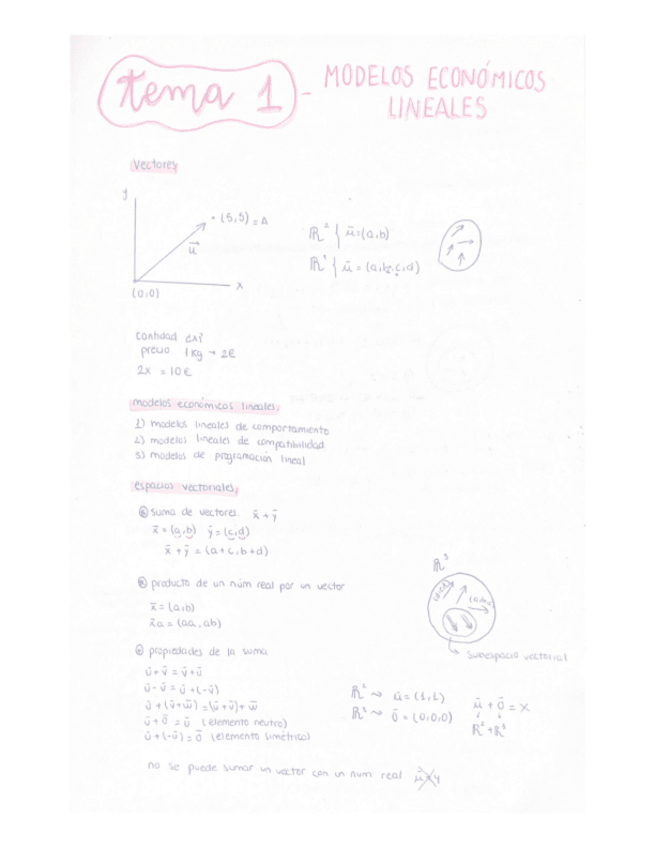 Miniatura del documento TEMA-1-MATEMATICAS.pdf