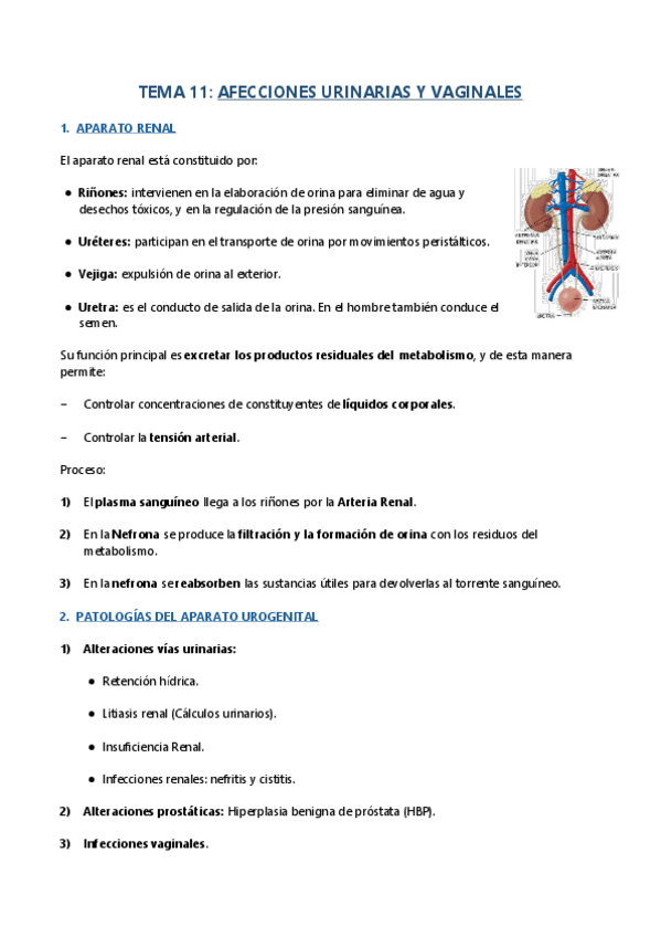 Miniatura del documento TEMA-11.pdf