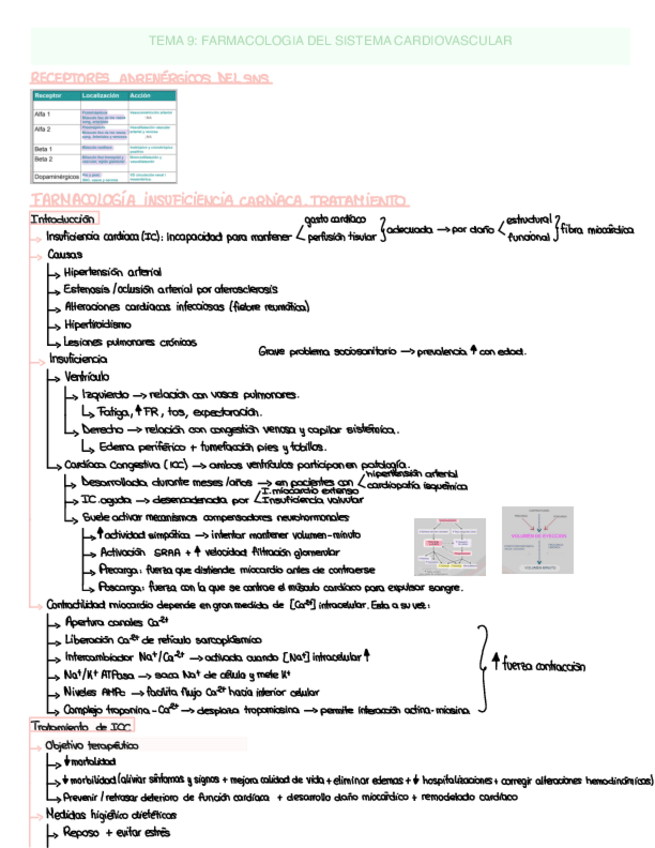 Miniatura del documento Farmacologia-General-MG-Tema-9.pdf