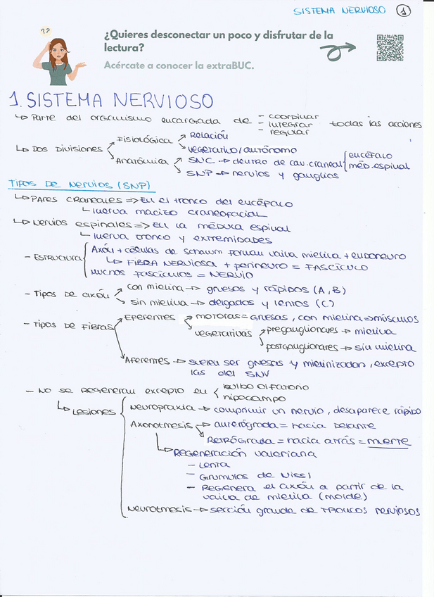 Miniatura del documento esquemas-sistema-nervioso-jorgecobo.pdf