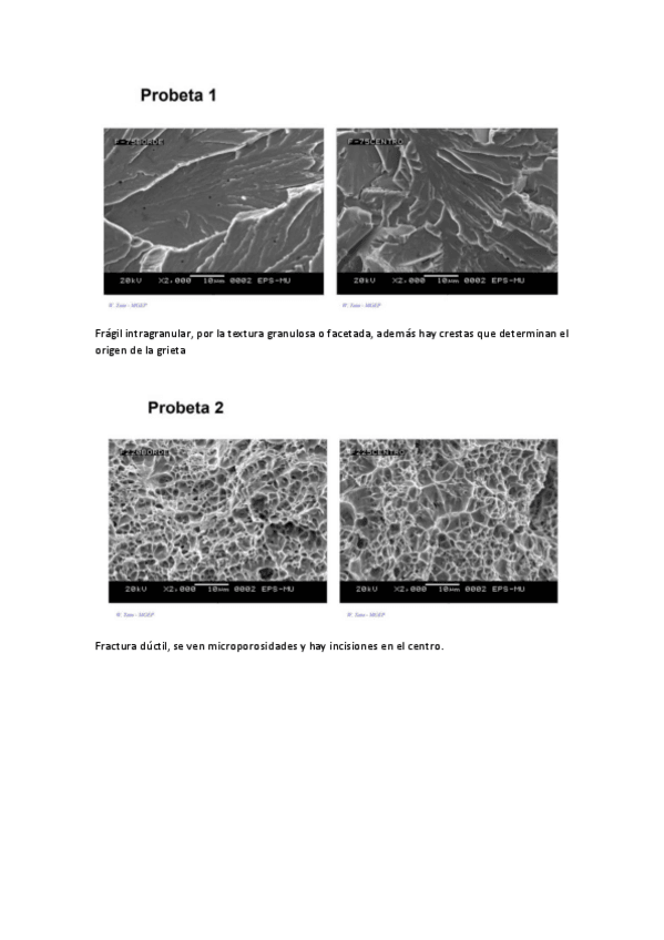 Miniatura del documento Fractografiacorregido.pdf