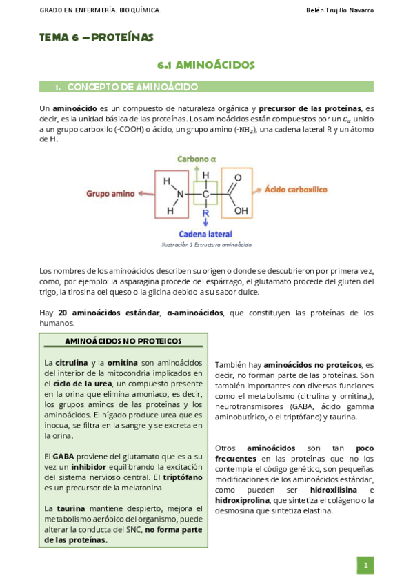 Miniatura del documento BIOQ-Tema6-1Aminoacidos.pdf