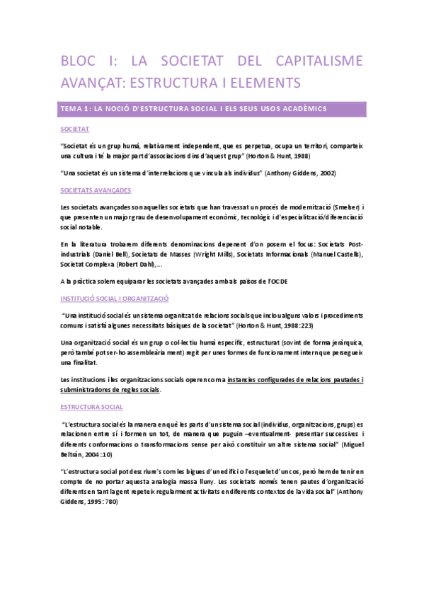 Miniatura del documento Apunts-Estuctura-de-les-societats-avancades.pdf