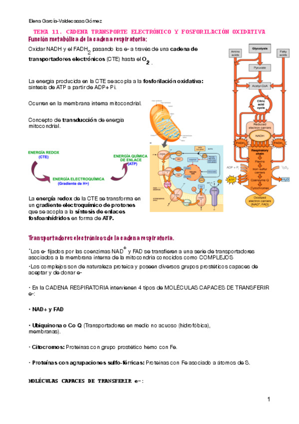 Miniatura del documento tema-11.pdf