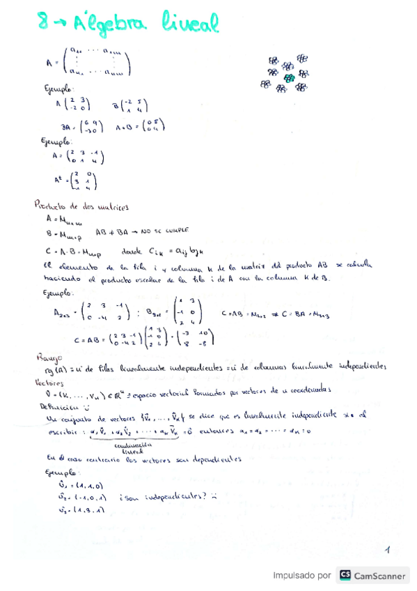 Miniatura del documento tema8algebralineal.pdf