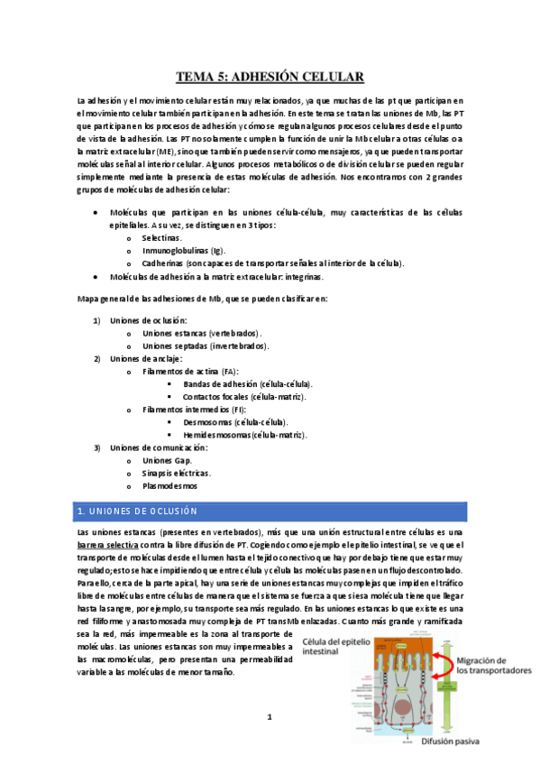 Miniatura del documento Tema-5-Adhesion-celular.pdf