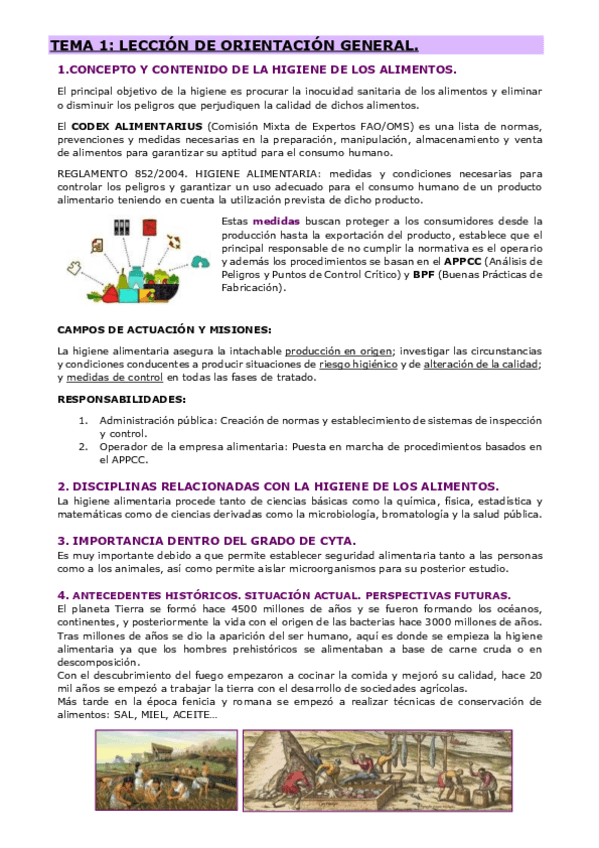 Miniatura del documento TEMA-1.-ORIENTACION-GENERAL.pdf